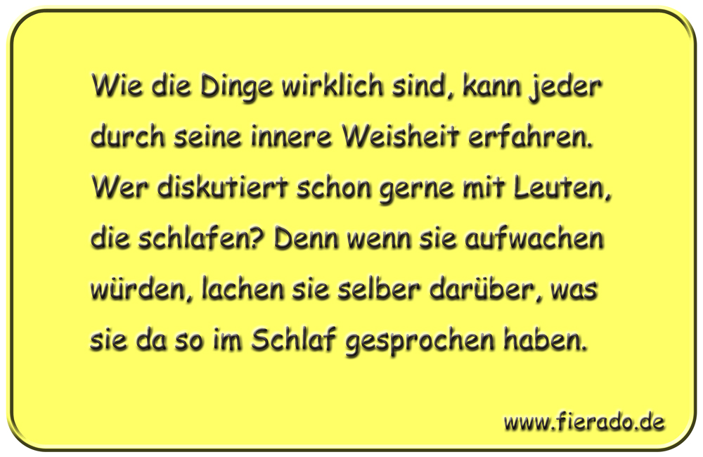 Blechschild 008: Wie die Dinge wirklich sind, kann jeder durch seine innere Weisheit erfahren. Wer diskutiert
          schon gerne mit Leuten, die schlafen. Denn wenn sie aufwachen würden, lachen sie selber darüber, was sie da so im
          Schlaf gesprochen haben.